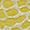 Yellow Pore Carpet
